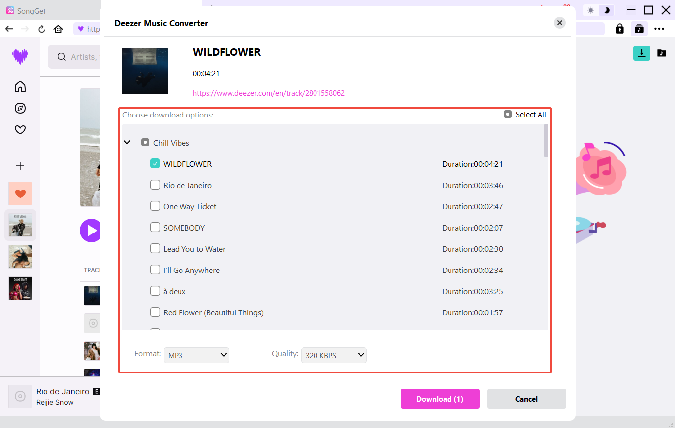 Step 3: Play target song and let SongGet parse it