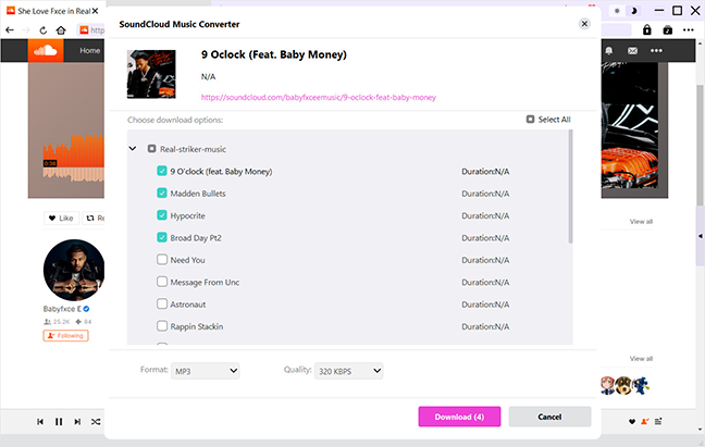 Step 3: Choose download options