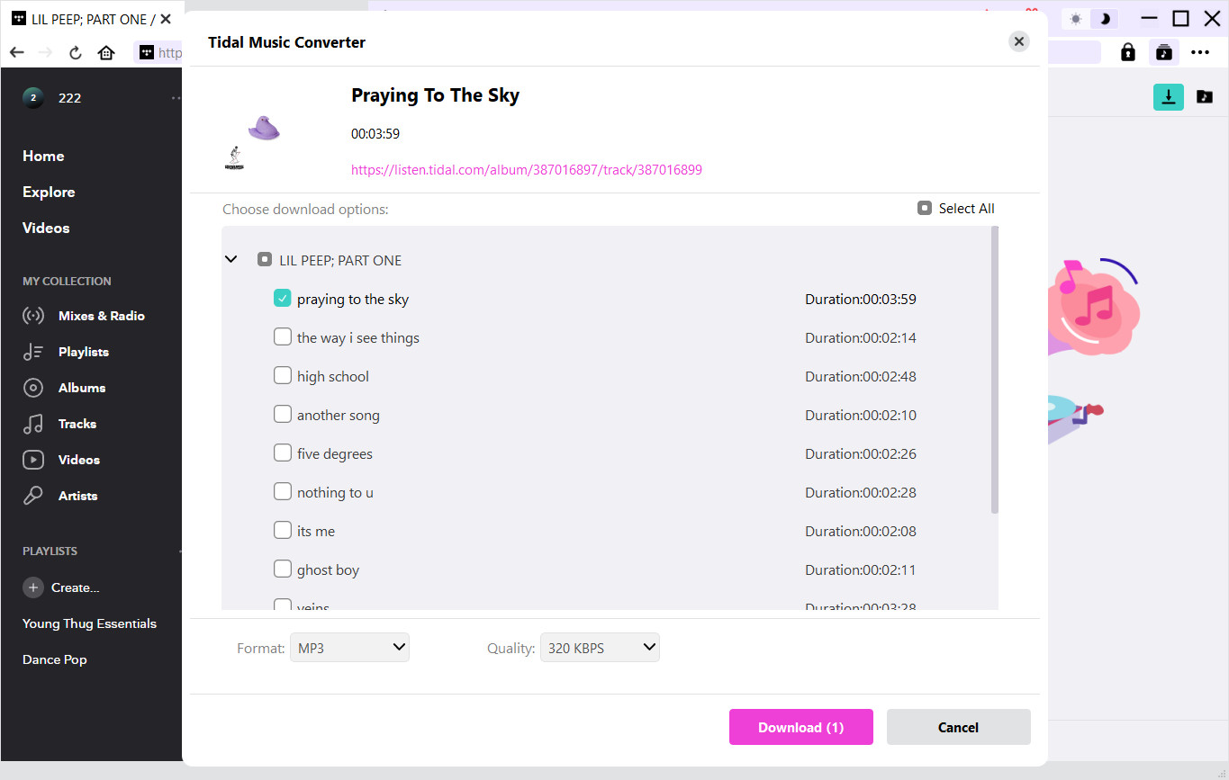 Step 3: Open target music and let SongGet parse it