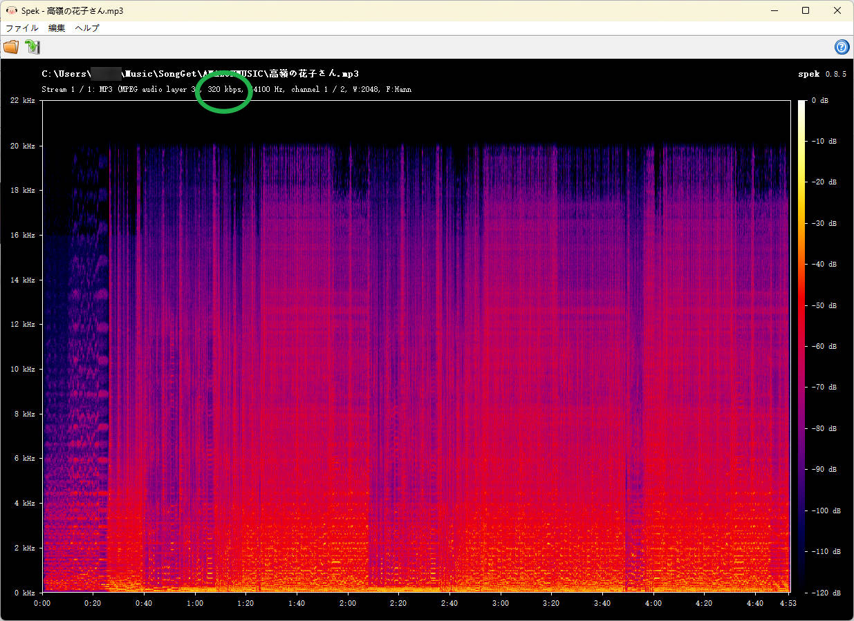 SongGetでApple Musicから320kbps MP3への変換に成功した画面（筆者撮影）