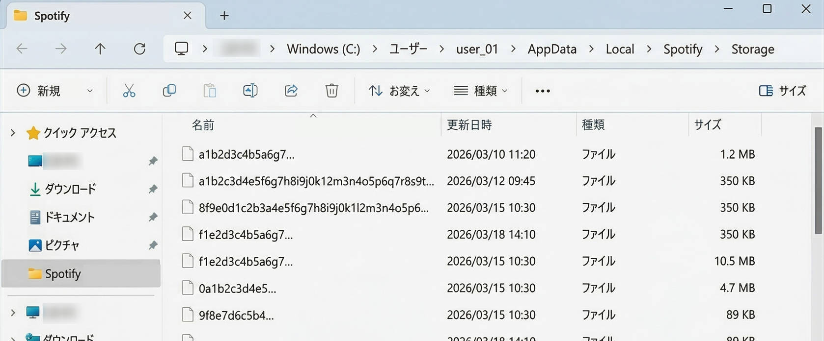 PCに保存されたSpotifyの暗号化キャッシュデータ（再生不可）