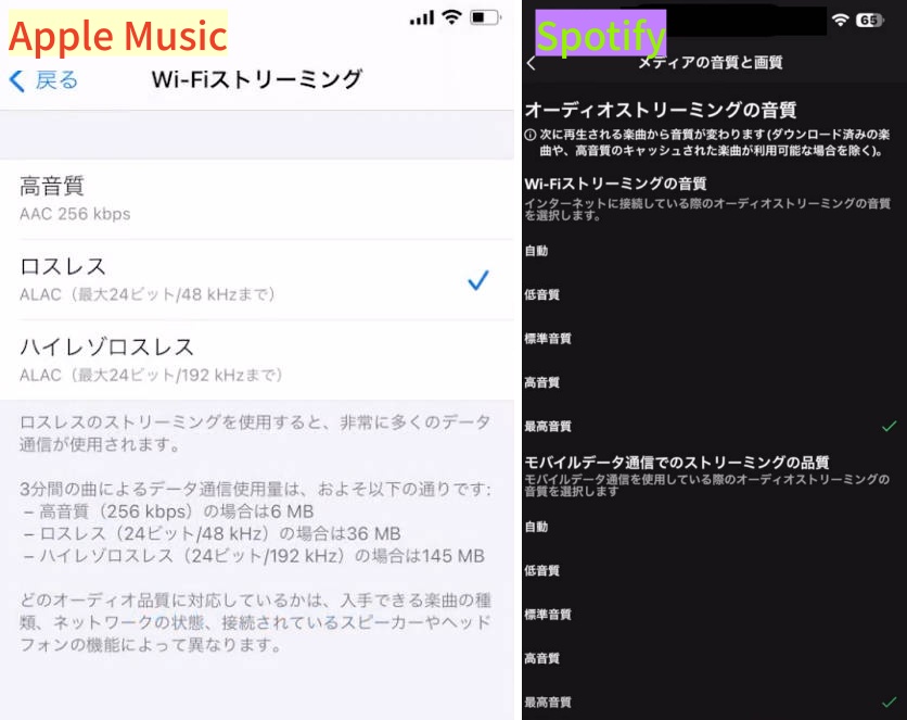Apple Musicのロスレス・空間オーディオ設定とSpotifyの音質設定の比較