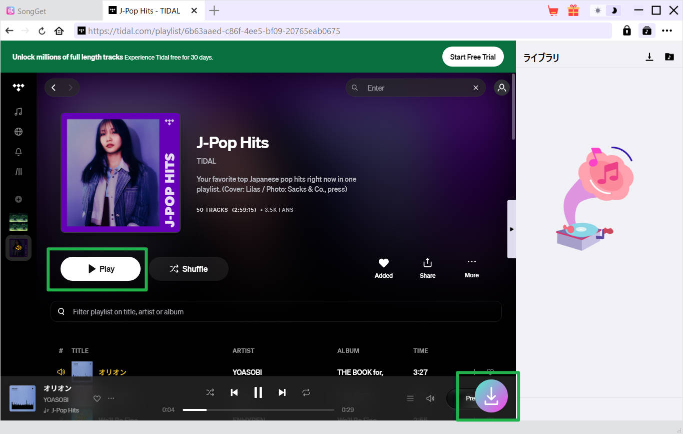 SongGetでTidalの曲・アルバム・プレイリストを選択している画面